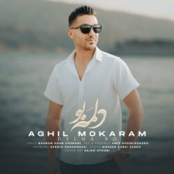 عقیل مکرم دلمه بو