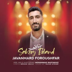 جوانمرد فروغ فر سبزه ی بلند