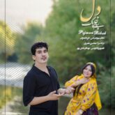 پژمان بی باک دل