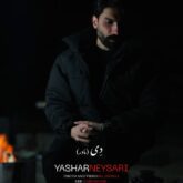 یاشار نیساری دی