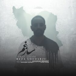 رضا گودرزی ساز غم