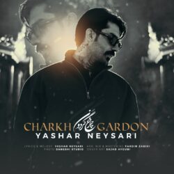 یاشار نیساری چرخ گردون