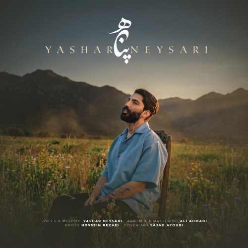 یاشار نیساری پناه